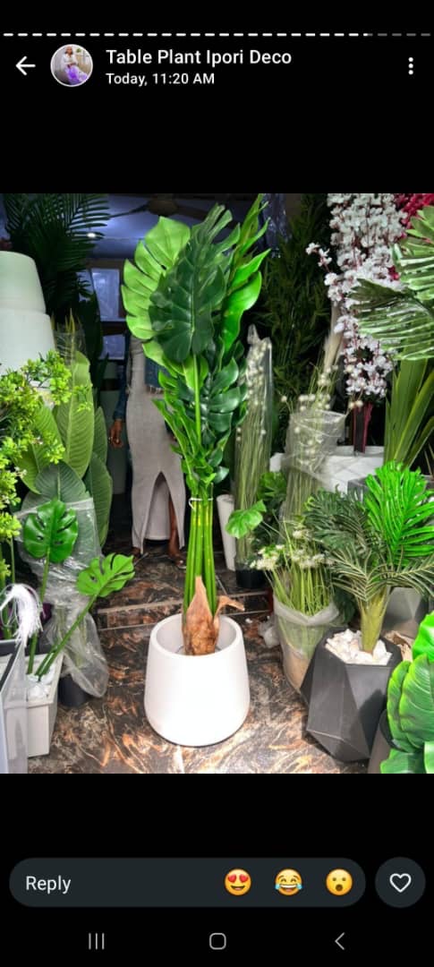 INTERIOR AND FLOWERS
